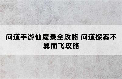 问道手游仙魔录全攻略 问道探案不翼而飞攻略